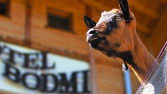 Wellness im Hotel Bodmi 