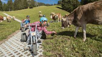 Pause bei den Kühen