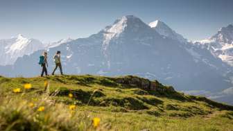 Wanderungen