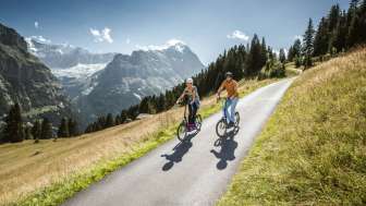Rasante Abfahrt vor dem Bergpanorama