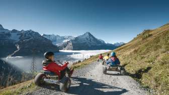 Mountain Carts