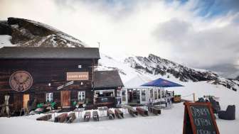Genepi