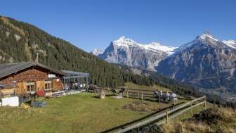 Bergrestaurant Bussalp 1