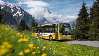 Bergbuslinie Grosse Scheidegg Nr. 128