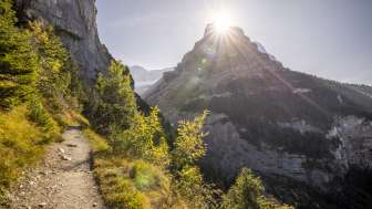 Grillstelle Baumwipfelpfad